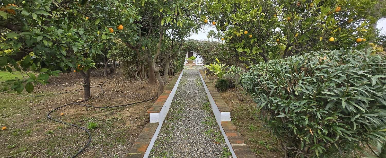 7 soveværelse Villa til salg i Alhaurin de la Torre med swimmingpool - € 530.000 (Ref: 7215893)