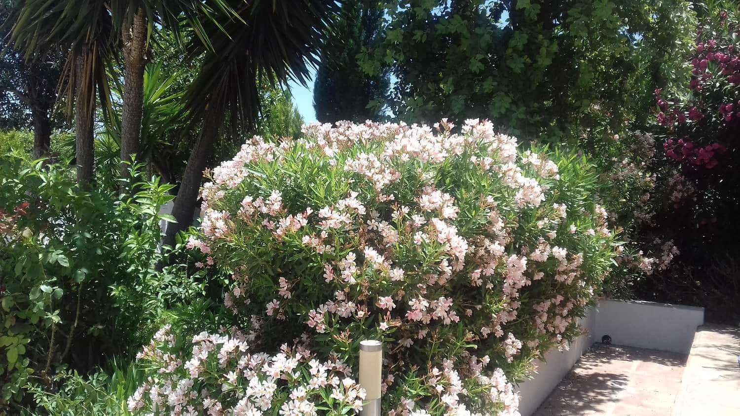 7 soveværelse Villa til salg i Alhaurin de la Torre med swimmingpool - € 530.000 (Ref: 7215893)