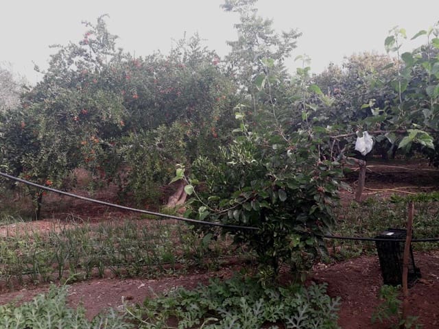 Tomt till salu i Alhaurín de la Torre - 160 000 € (Ref: 7566977)