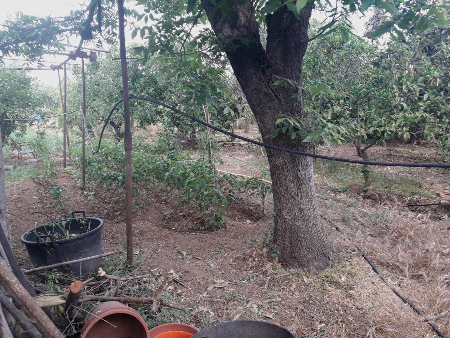 Byggetomt til salgs i Alhaurin de la Torre - € 160 000 (Ref: 7566977)