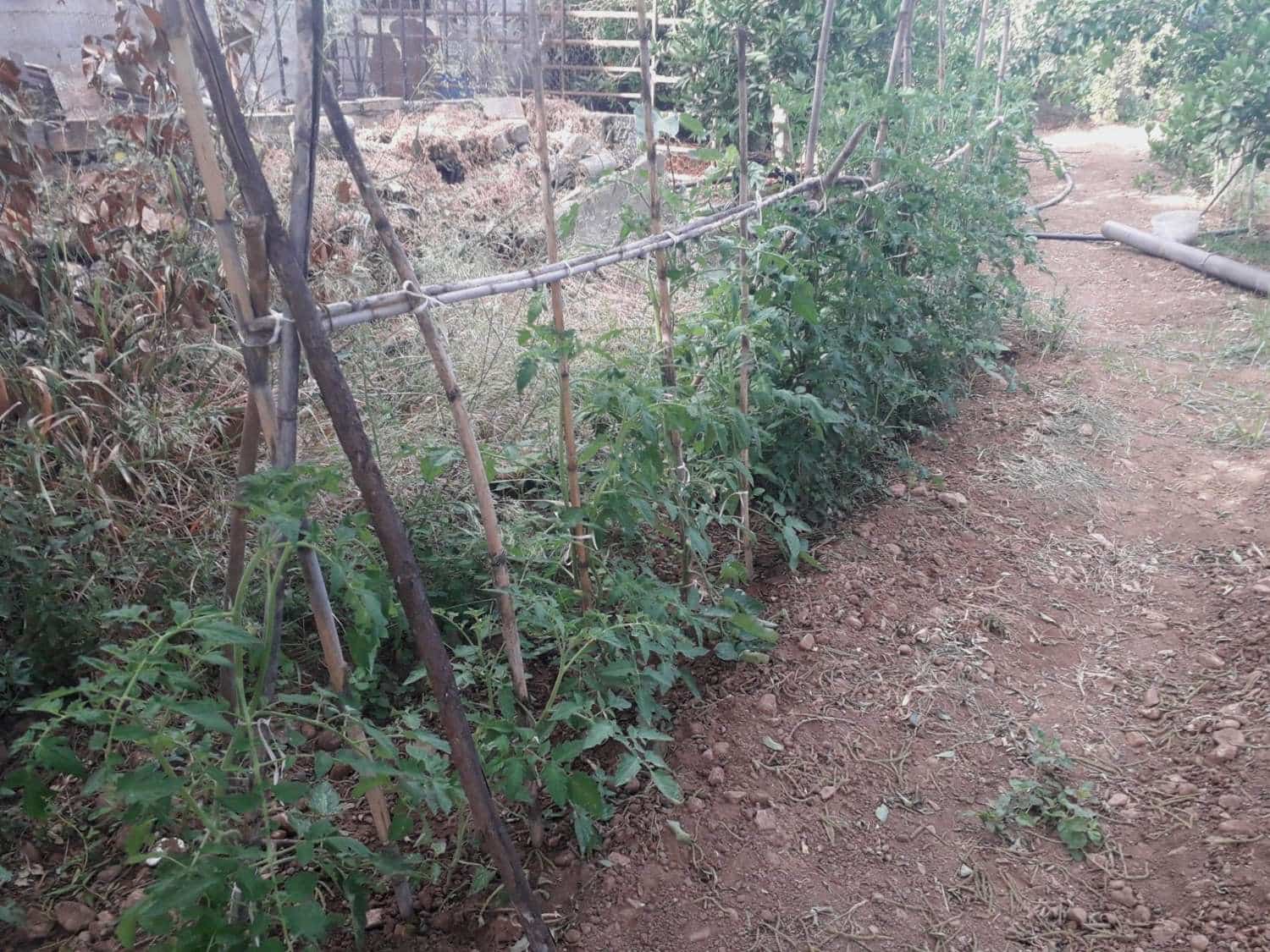 Byggetomt til salgs i Alhaurin de la Torre - € 160 000 (Ref: 7566977)