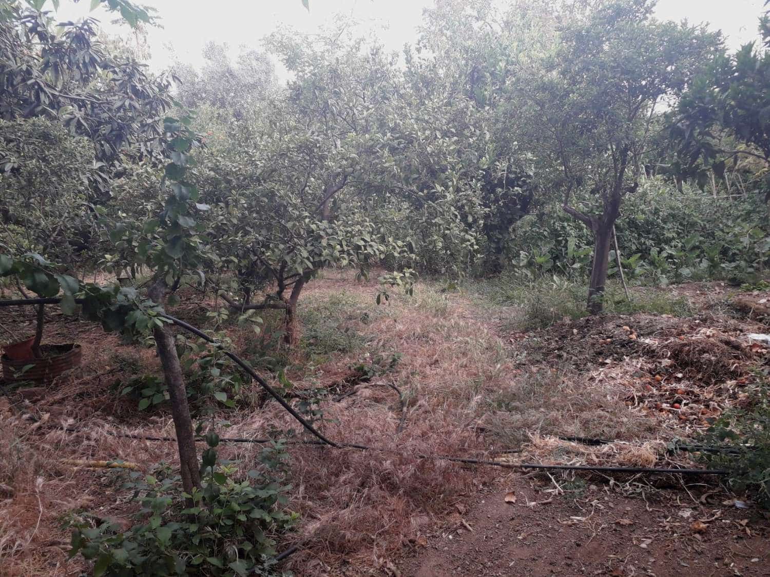 Byggetomt til salgs i Alhaurin de la Torre - € 160 000 (Ref: 7566977)