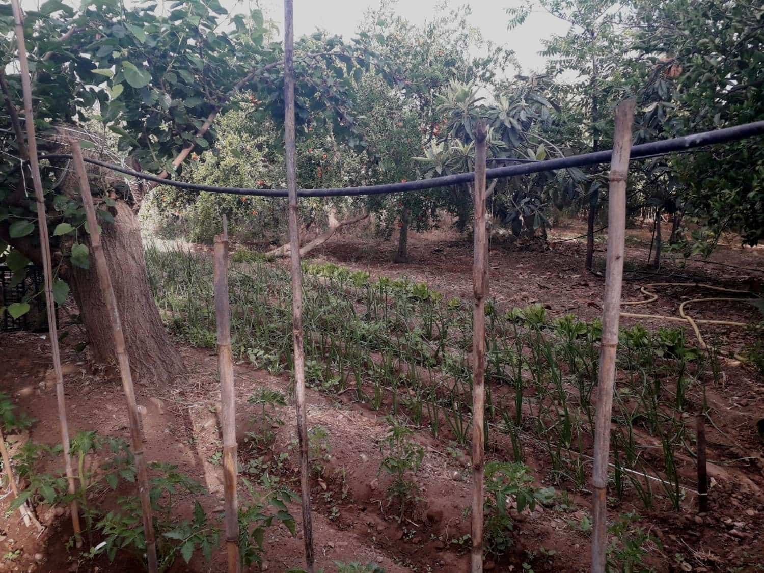 Byggetomt til salgs i Alhaurin de la Torre - € 160 000 (Ref: 7566977)