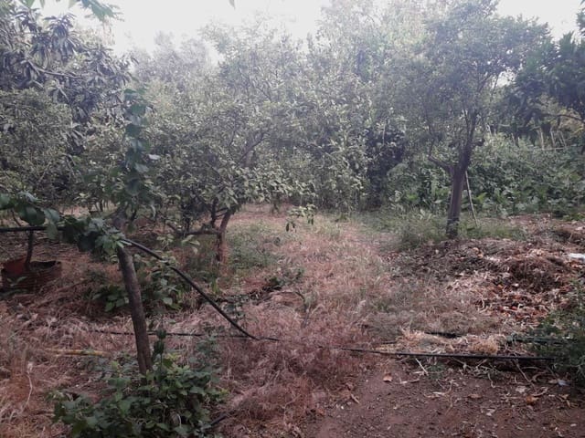 Tomt till salu i Alhaurín de la Torre - 160 000 € (Ref: 7566977)