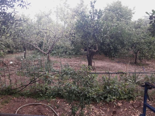 Tomt till salu i Alhaurín de la Torre - 160 000 € (Ref: 7566977)