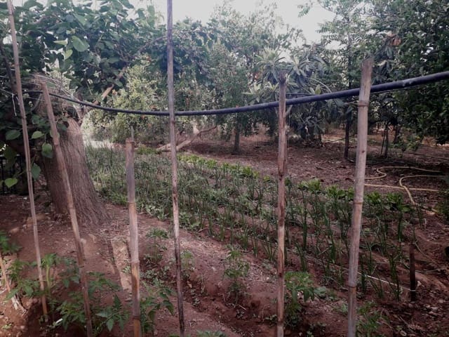 Tomt till salu i Alhaurín de la Torre - 160 000 € (Ref: 7566977)