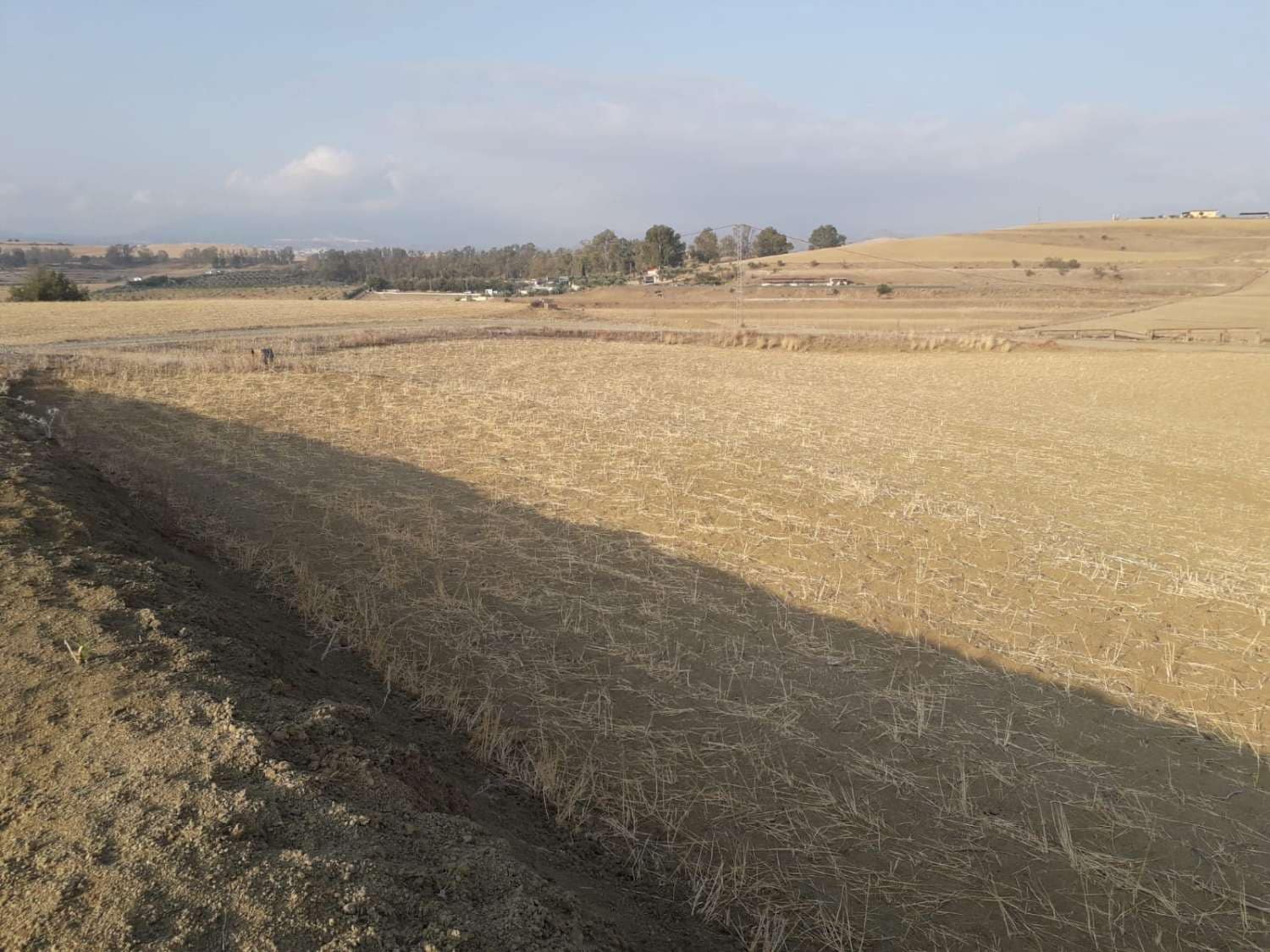 Finca/Landhuis te koop in Cerralba - € 125.000 (Ref: 7683387)