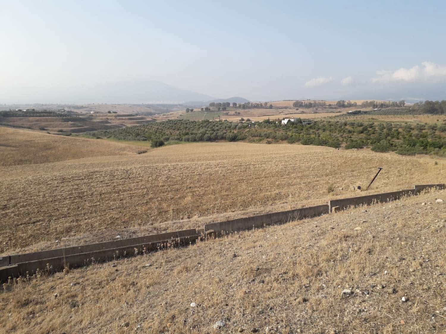 Finca/Landehus til salg i Cerralba - € 190.000 (Ref: 7683388)