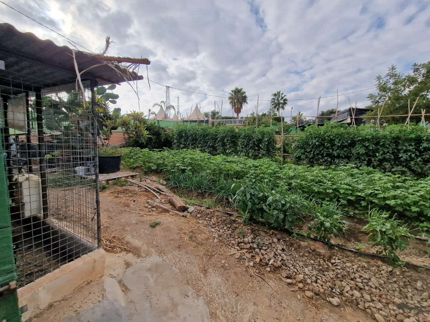 7 soveværelse Finca/Landehus til salg i Alhaurin de la Torre med swimmingpool - € 1.270.000 (Ref: 7935770)