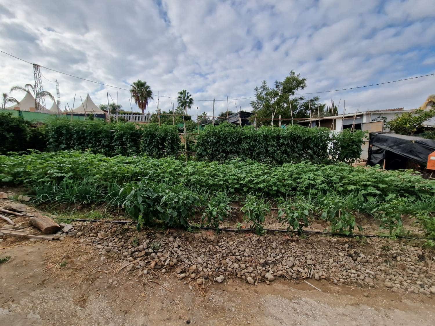 7 soveværelse Finca/Landehus til salg i Alhaurin de la Torre med swimmingpool - € 1.270.000 (Ref: 7935770)