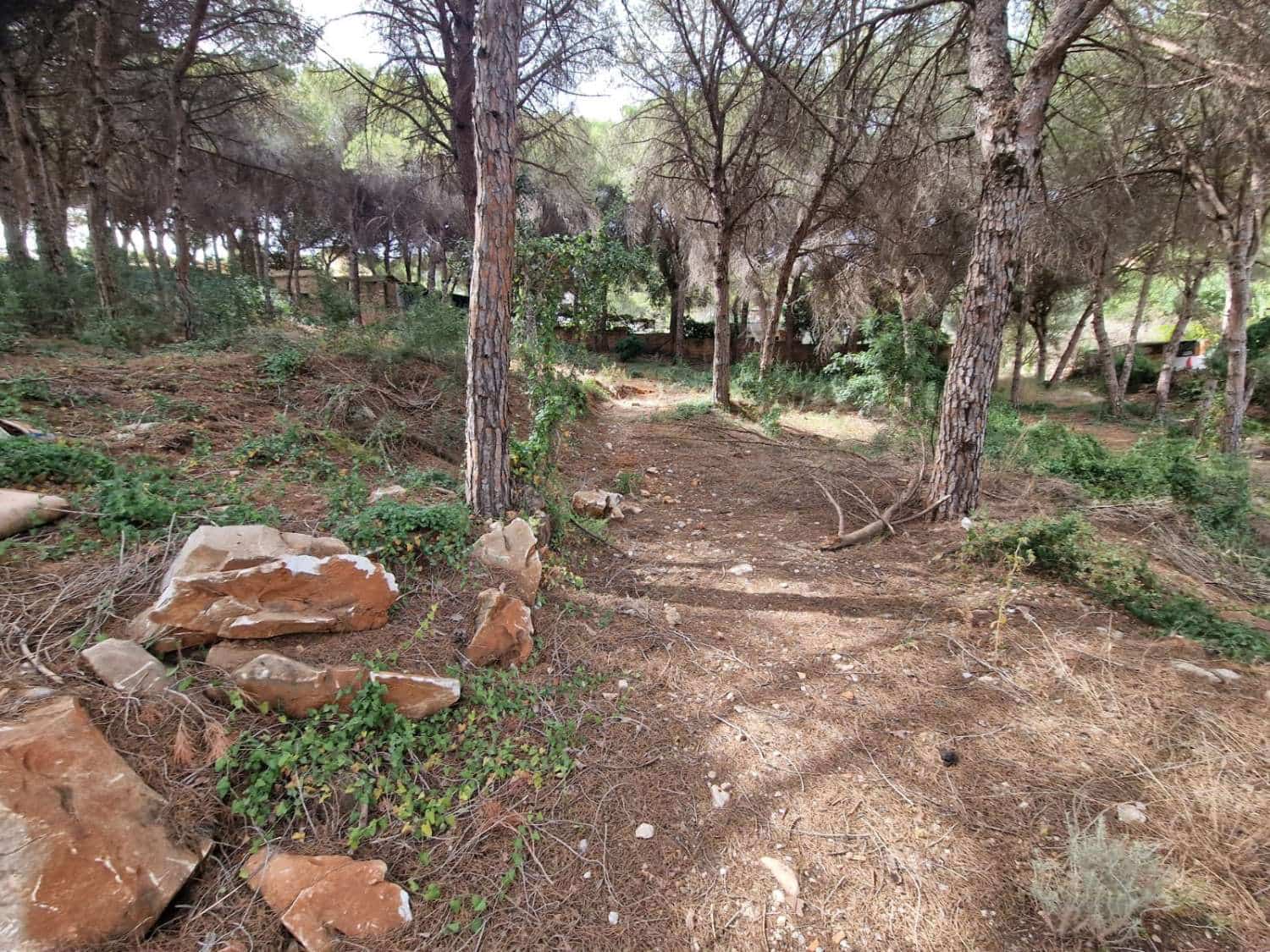 Byggegrund til salg i Alhaurin de la Torre - € 317.100 (Ref: 8347640)