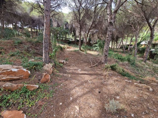 Tomt till salu i Alhaurín de la Torre - 317 100 € (Ref: 8347640)