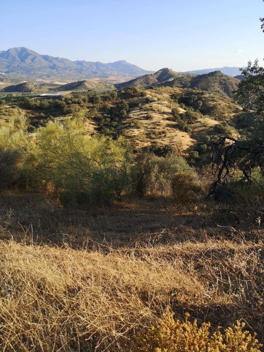 Byggegrund til salg i Coin - € 60.000 (Ref: 8347641)