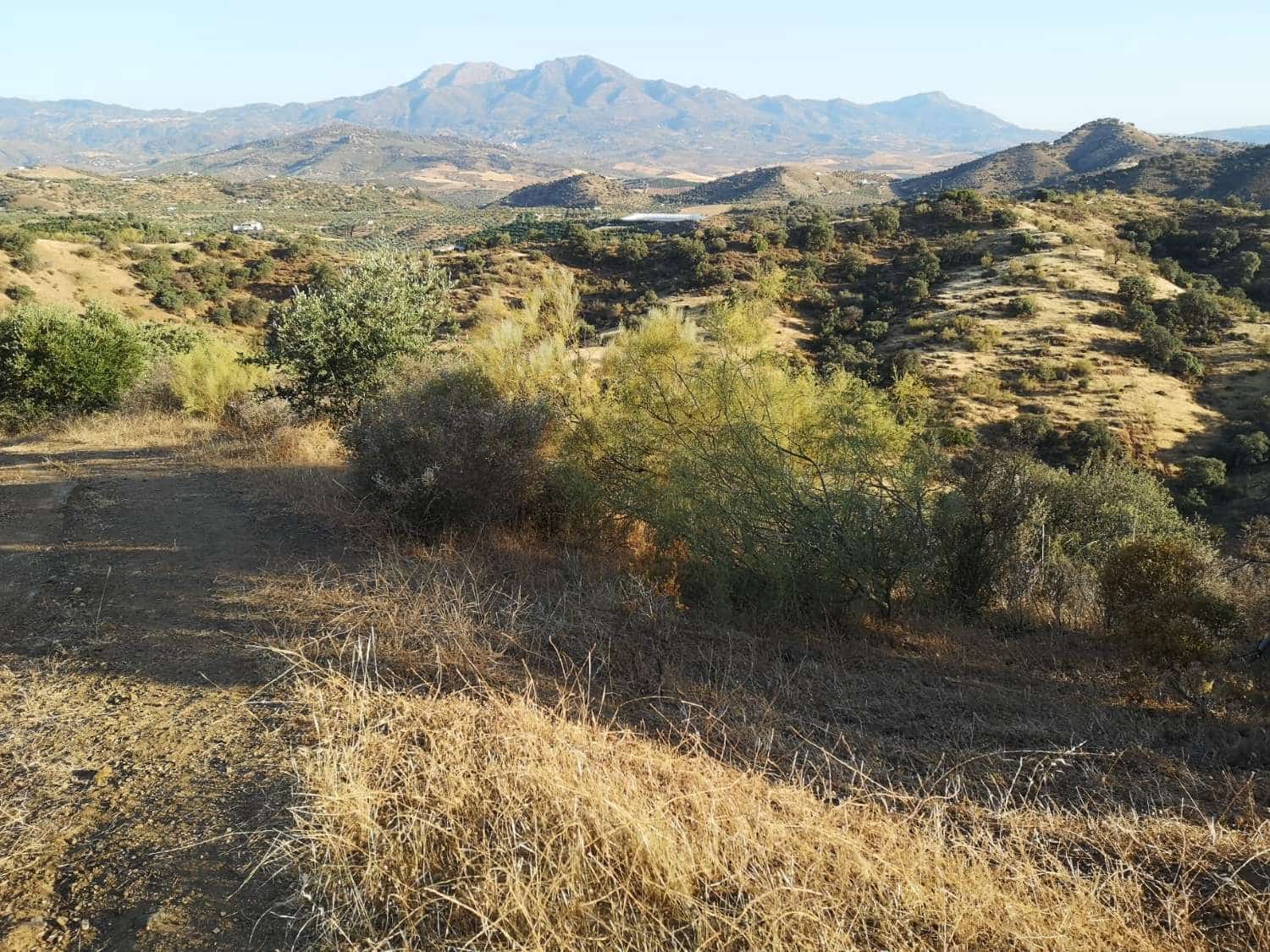 Byggegrund til salg i Coin - € 60.000 (Ref: 8347641)