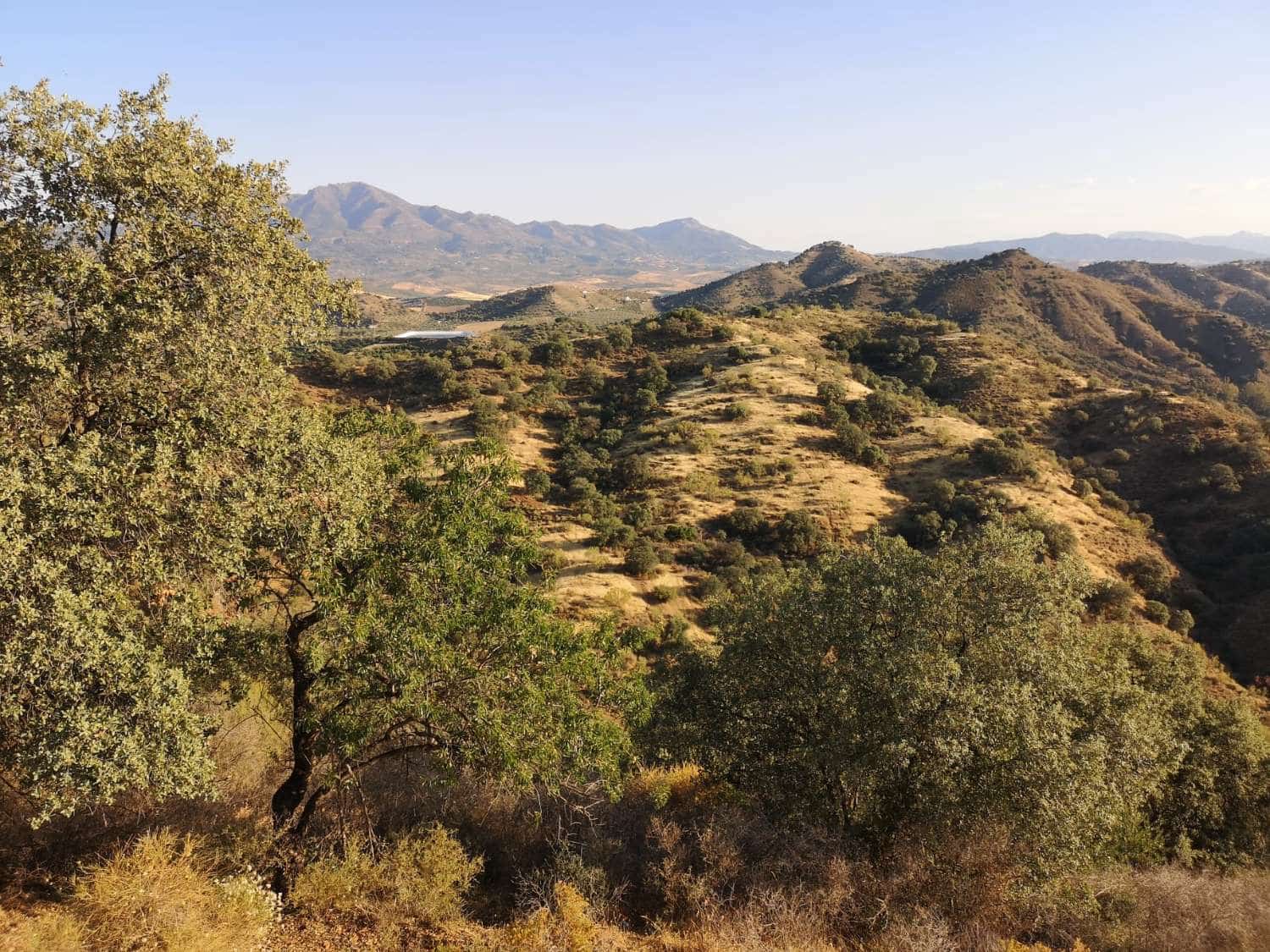 Byggegrund til salg i Coin - € 60.000 (Ref: 8347641)