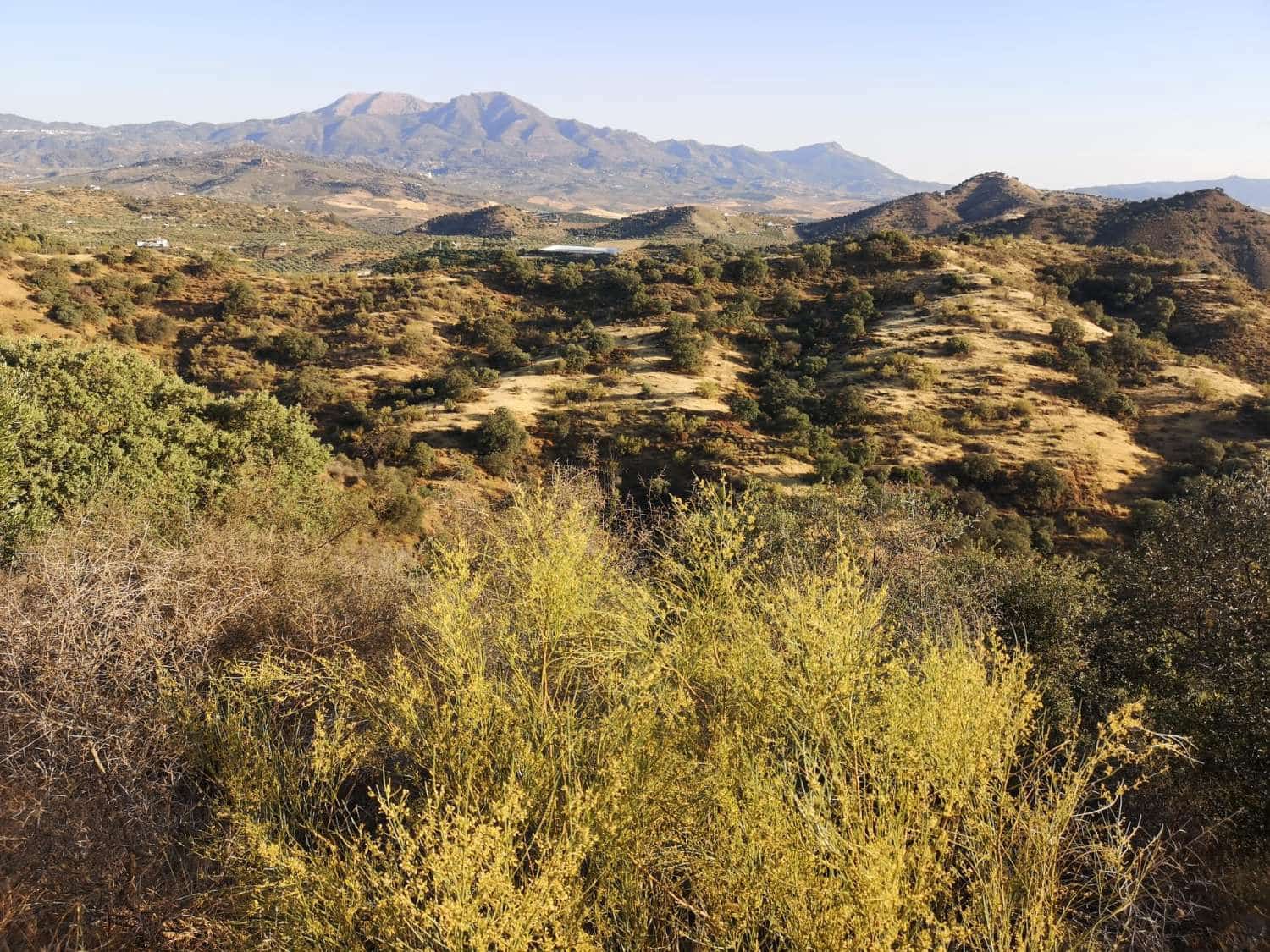 Byggegrund til salg i Coin - € 60.000 (Ref: 8347641)