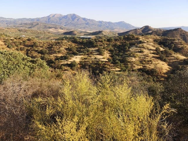 Byggegrund til salg i Coín - € 60.000 (Ref: 8347641)