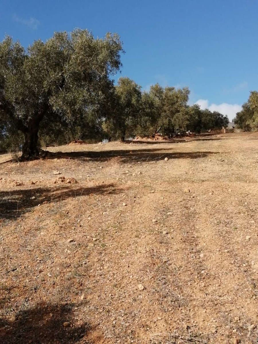 1 sypialnia Finka/Dom wiejski na sprzedaż w Sierra de Yeguas - 850 000 € (Ref: 8417437)