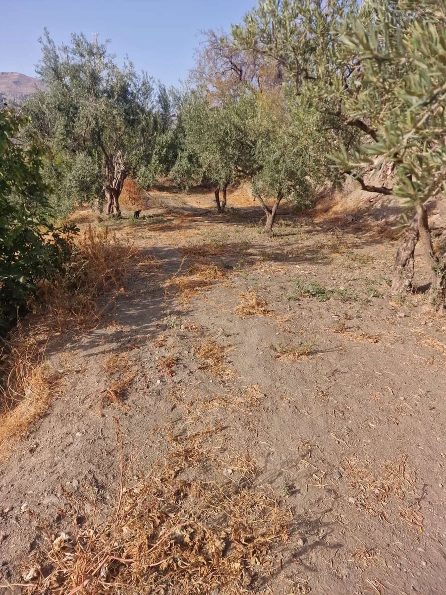 5 soveværelse Villa til salg i Alora - € 575.000 (Ref: 8536266)