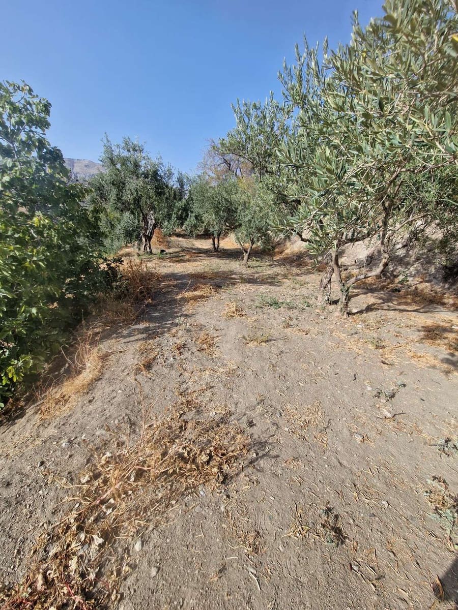 5 soveværelse Villa til salg i Alora - € 575.000 (Ref: 8536266)