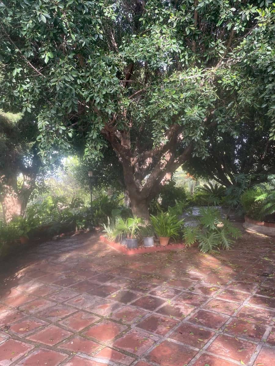 6 sypialnia Willa na sprzedaż w Churriana - 800 000 € (Ref: 8626528)