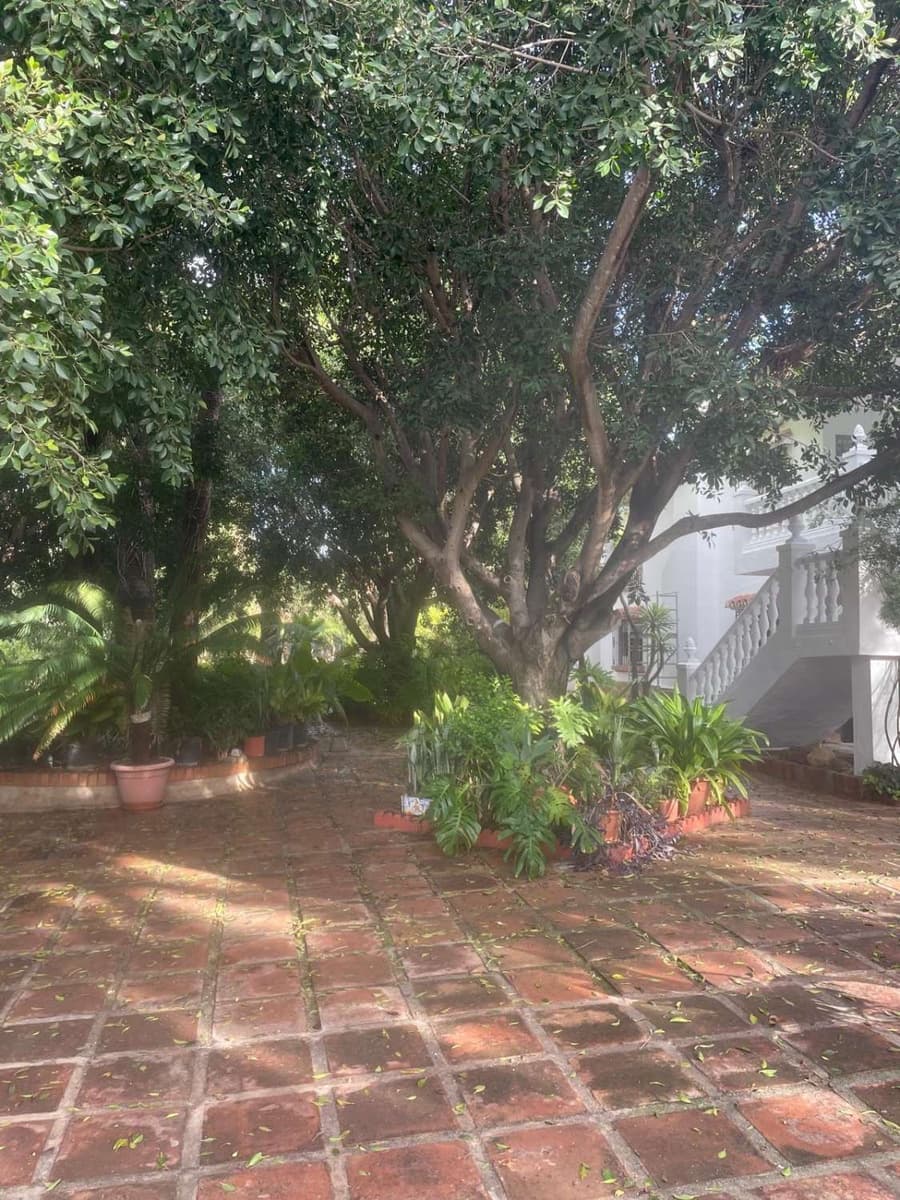 6 sypialnia Willa na sprzedaż w Churriana - 800 000 € (Ref: 8626528)