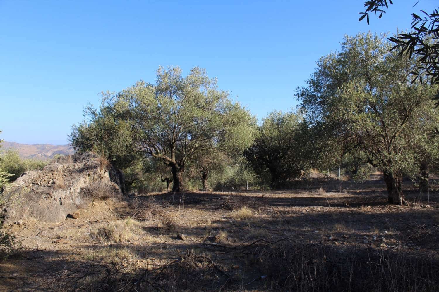 Byggegrund til salg i Alora - € 32.000 (Ref: 8827264)