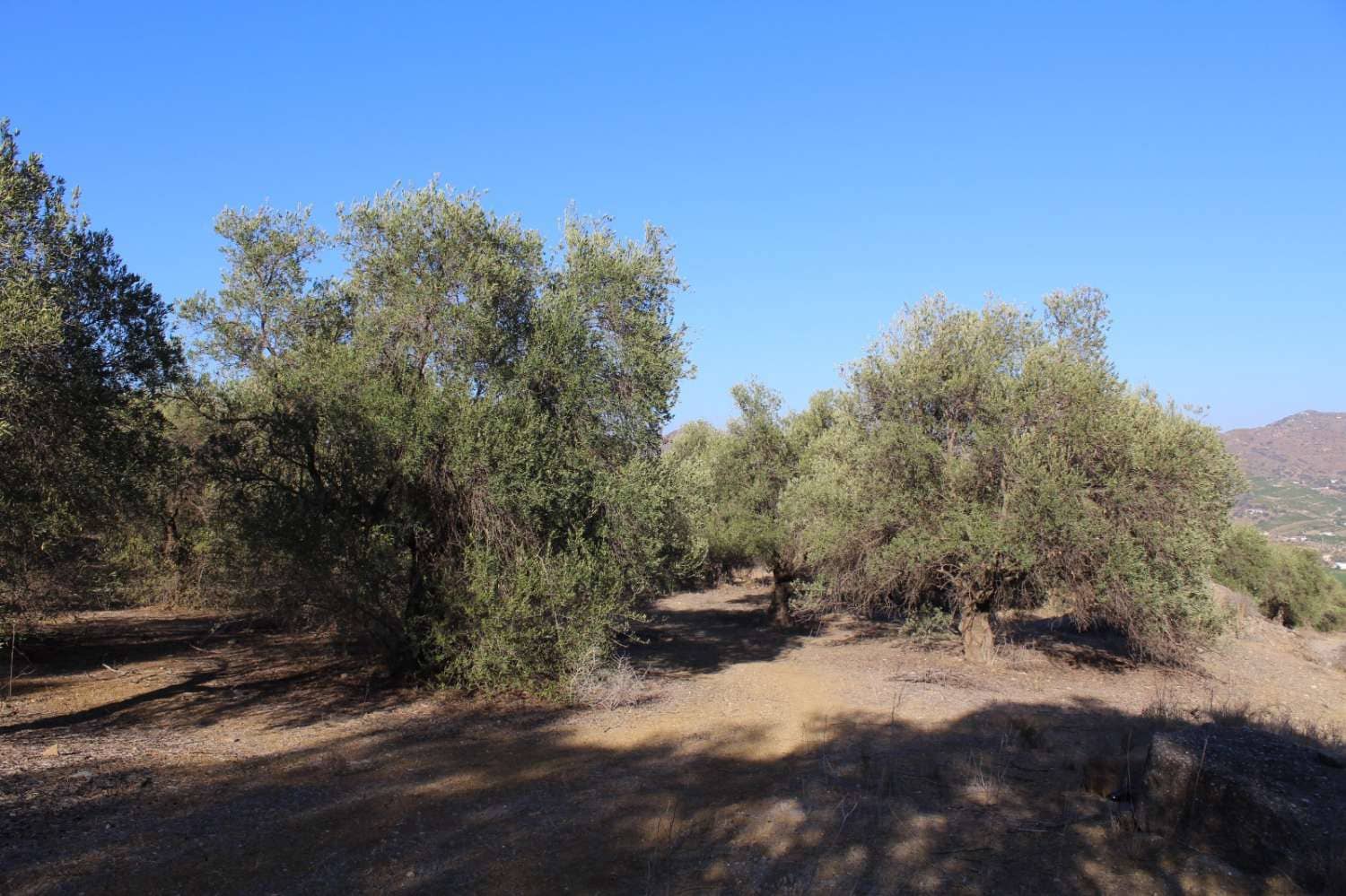 Byggegrund til salg i Alora - € 32.000 (Ref: 8827264)