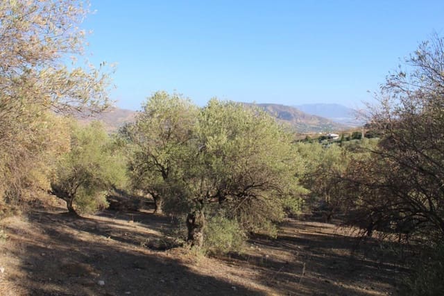 Building Plot for sale in Alora - € 32,000 (Ref: 8827264)