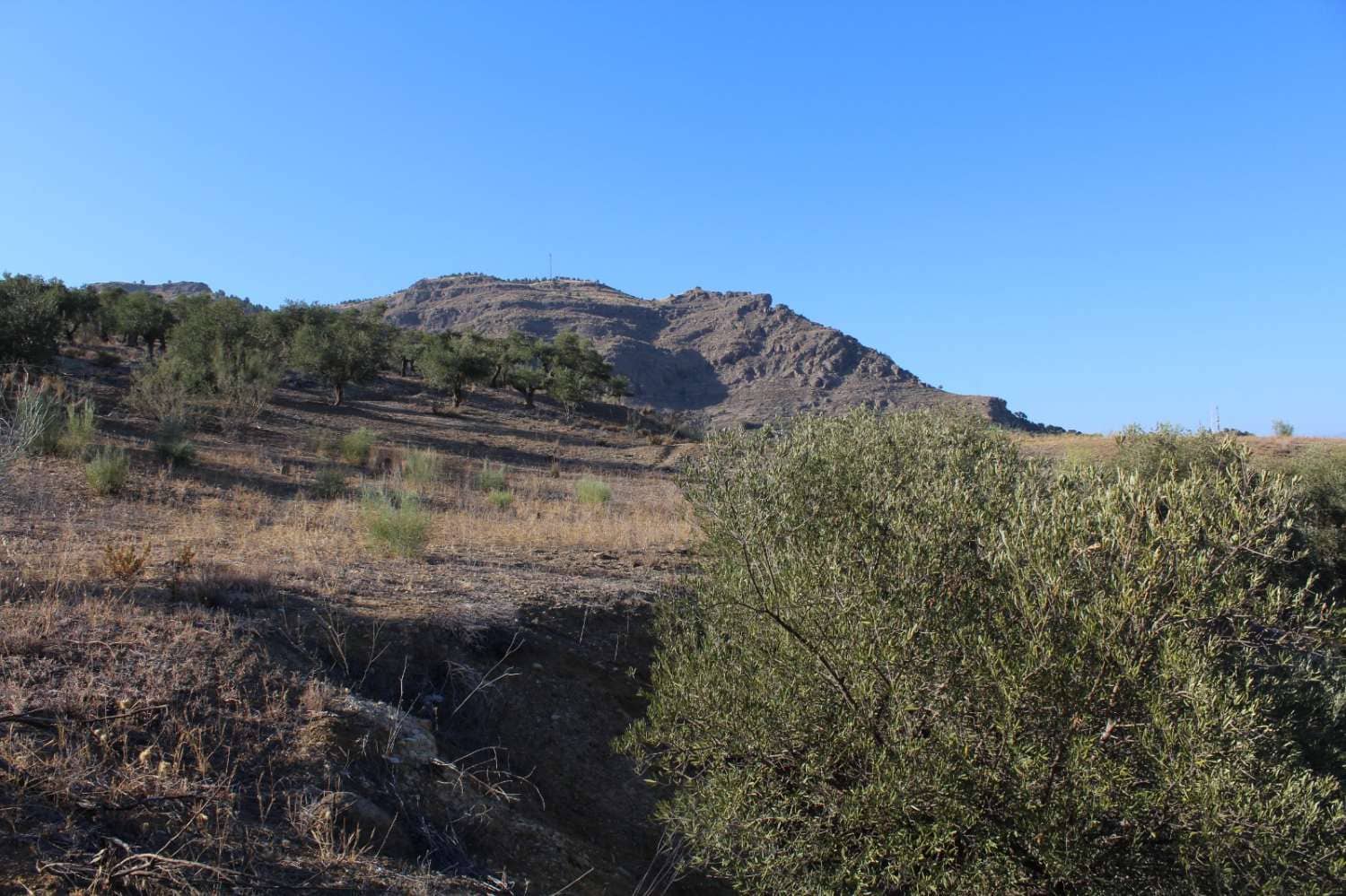 Byggegrund til salg i Alora - € 32.000 (Ref: 8827264)