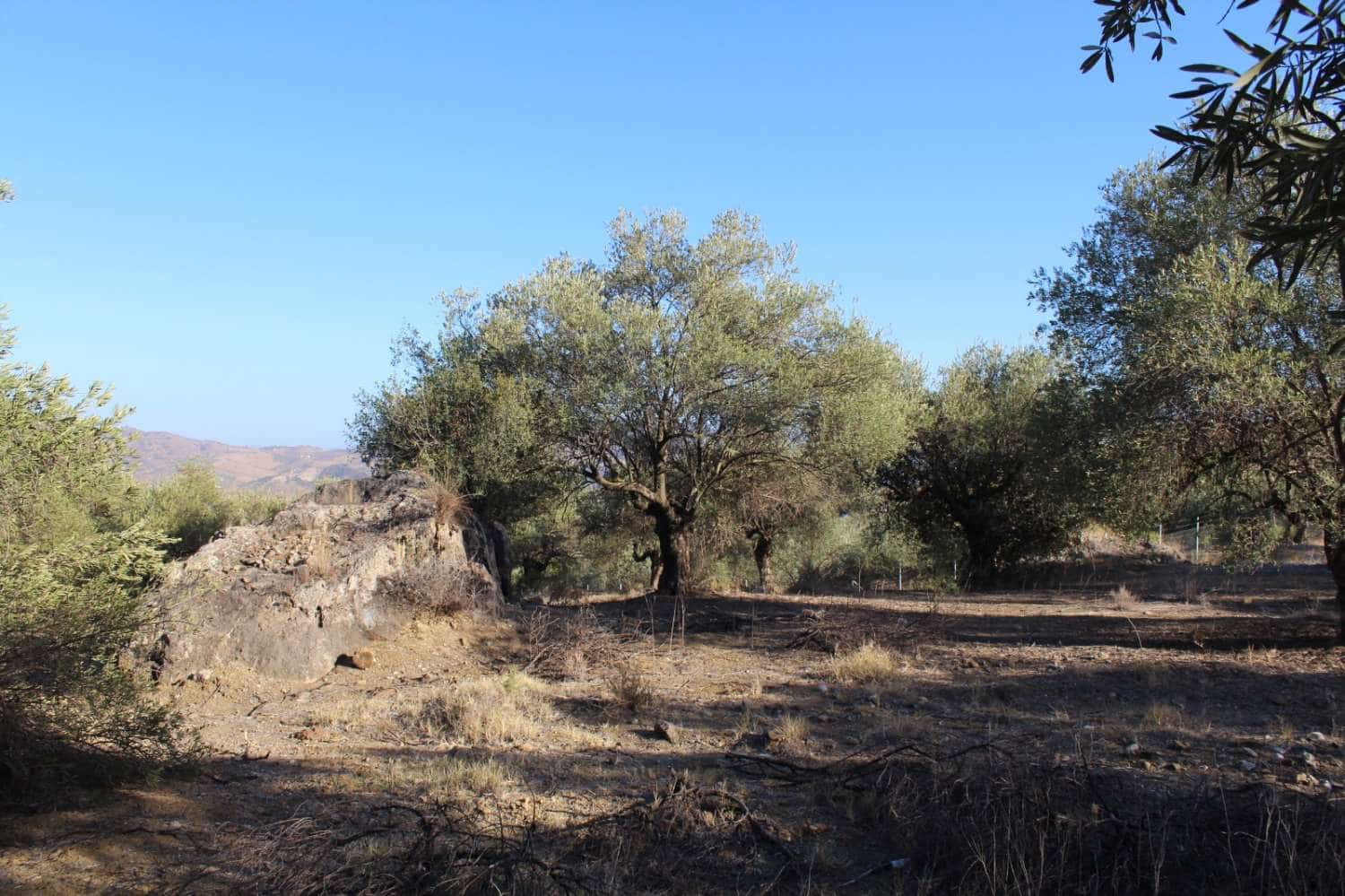 Byggegrund til salg i Alora - € 32.000 (Ref: 8827264)