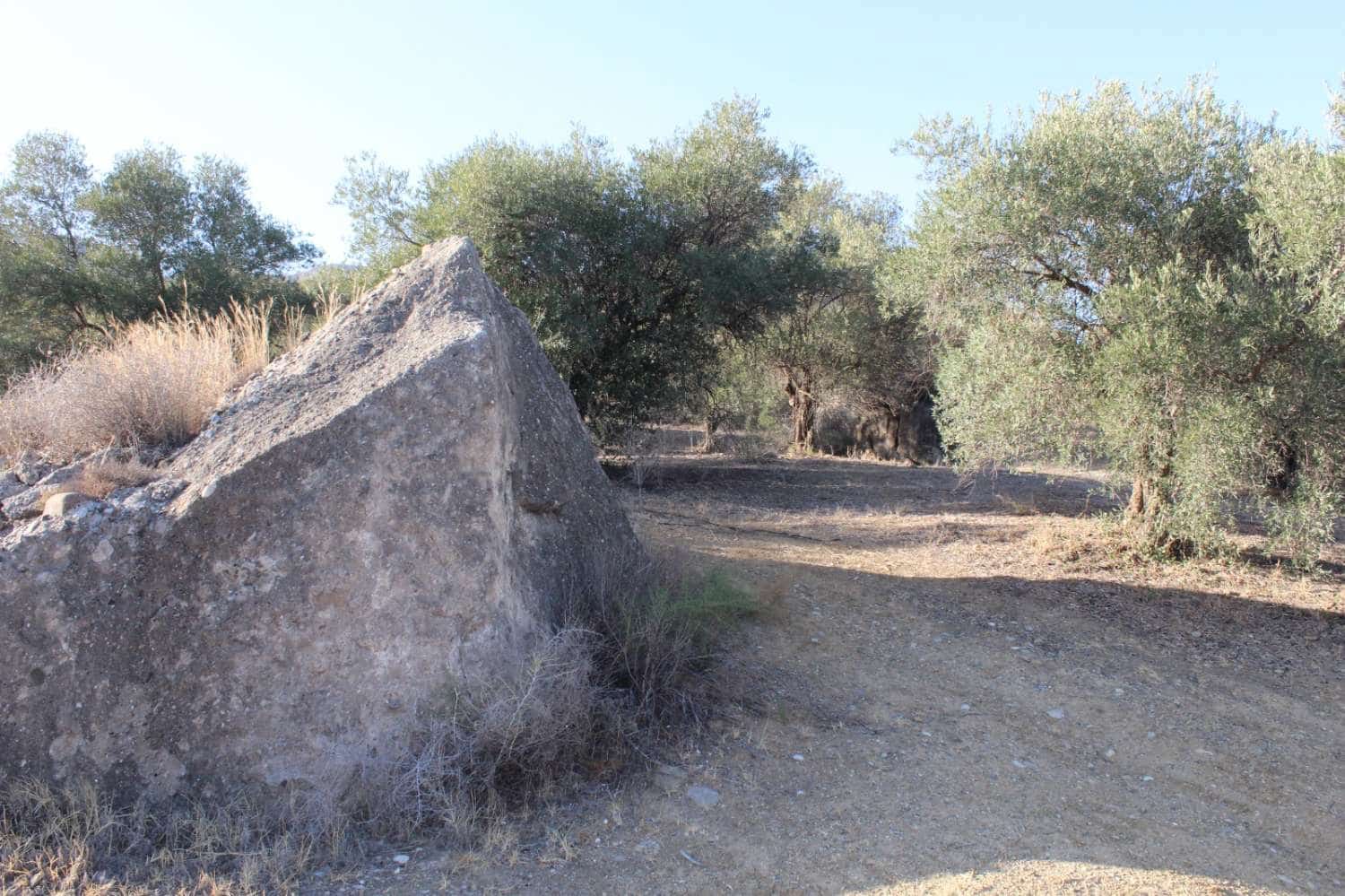 Byggegrund til salg i Alora - € 32.000 (Ref: 8827264)