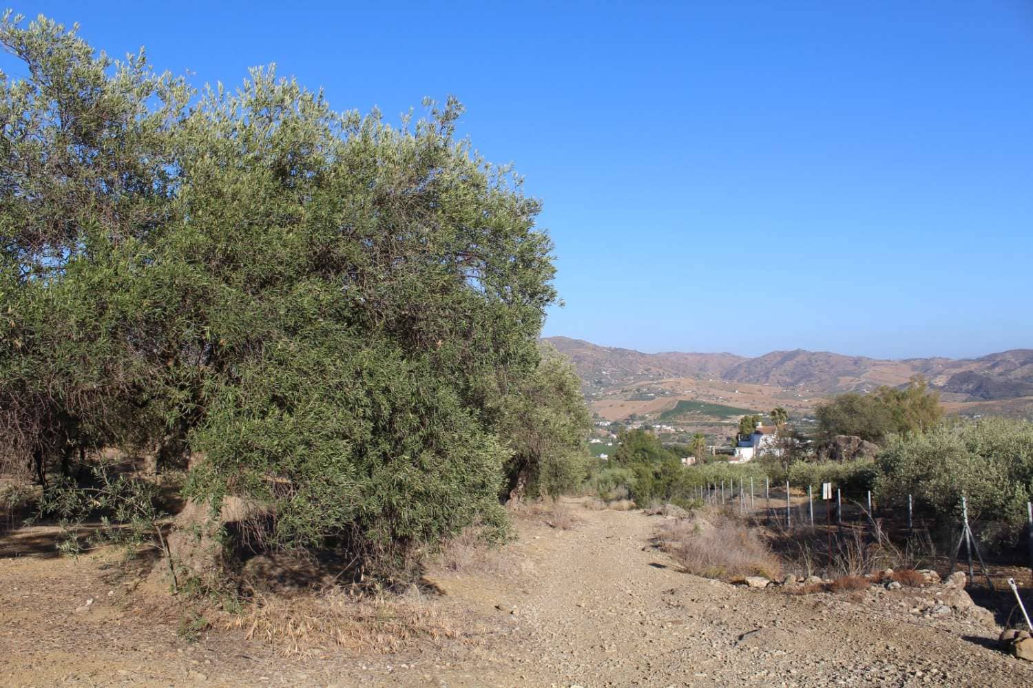 Byggegrund til salg i Alora - € 32.000 (Ref: 8827264)