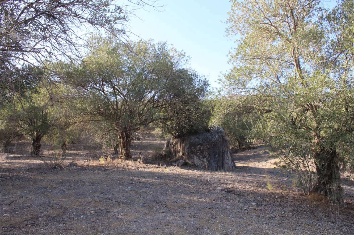 Byggegrund til salg i Alora - € 32.000 (Ref: 8827264)