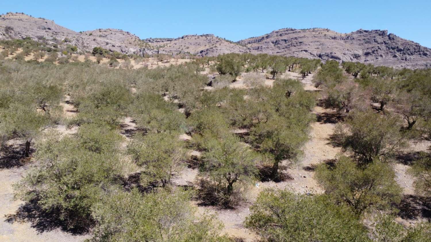 Byggegrund til salg i Alora - € 32.000 (Ref: 8827264)