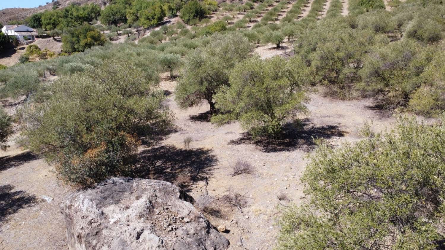 Byggegrund til salg i Alora - € 32.000 (Ref: 8827264)