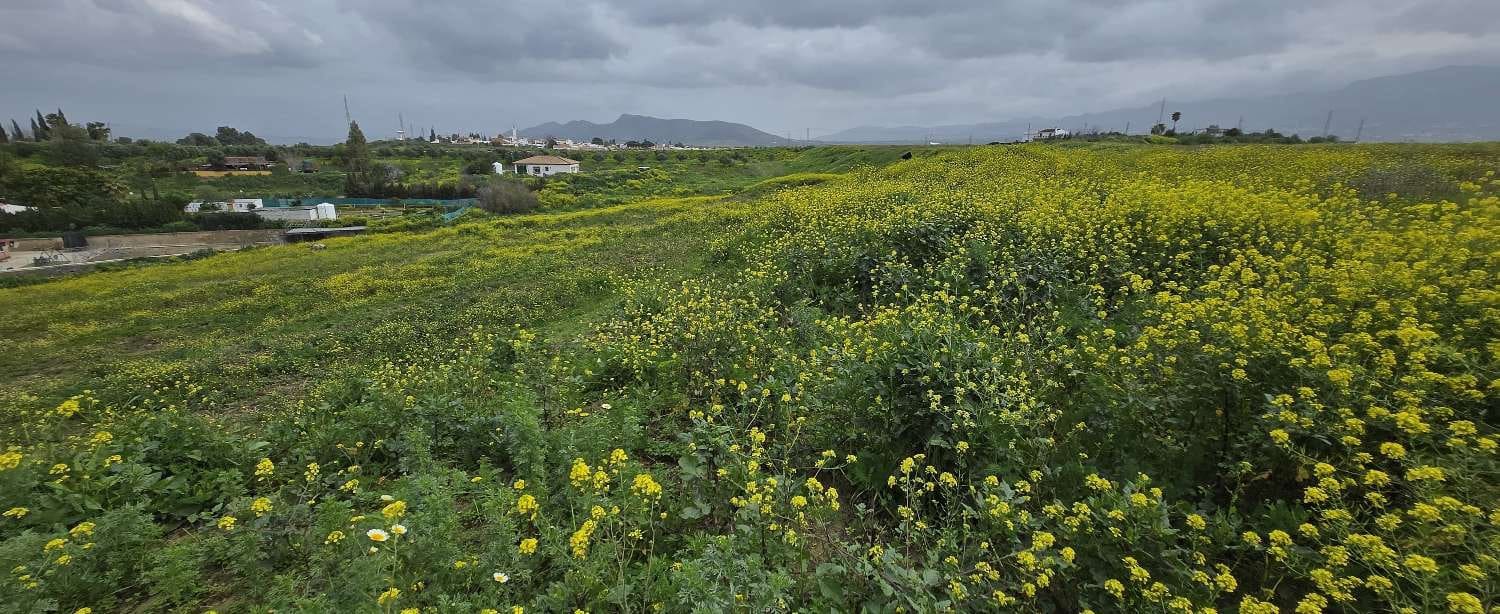 Bouwgrond te koop in Villafranca del Guadalhorce - € 150.000 (Ref: 8856858)