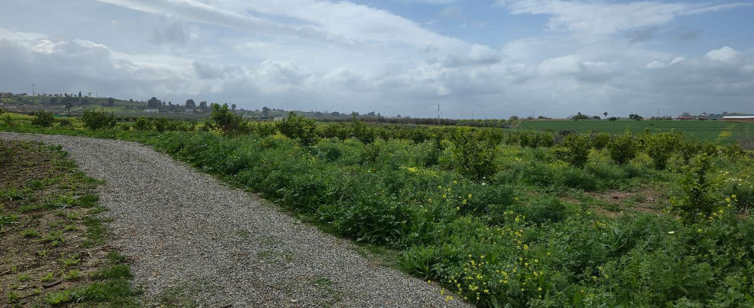 2 chambre Finca/Maison de Campagne à vendre à Villafranca del Guadalhorce avec piscine - 480 000 € (Ref: 8856860)