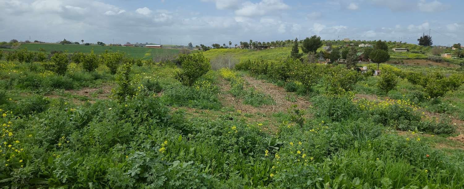 2 chambre Finca/Maison de Campagne à vendre à Villafranca del Guadalhorce avec piscine - 480 000 € (Ref: 8856860)