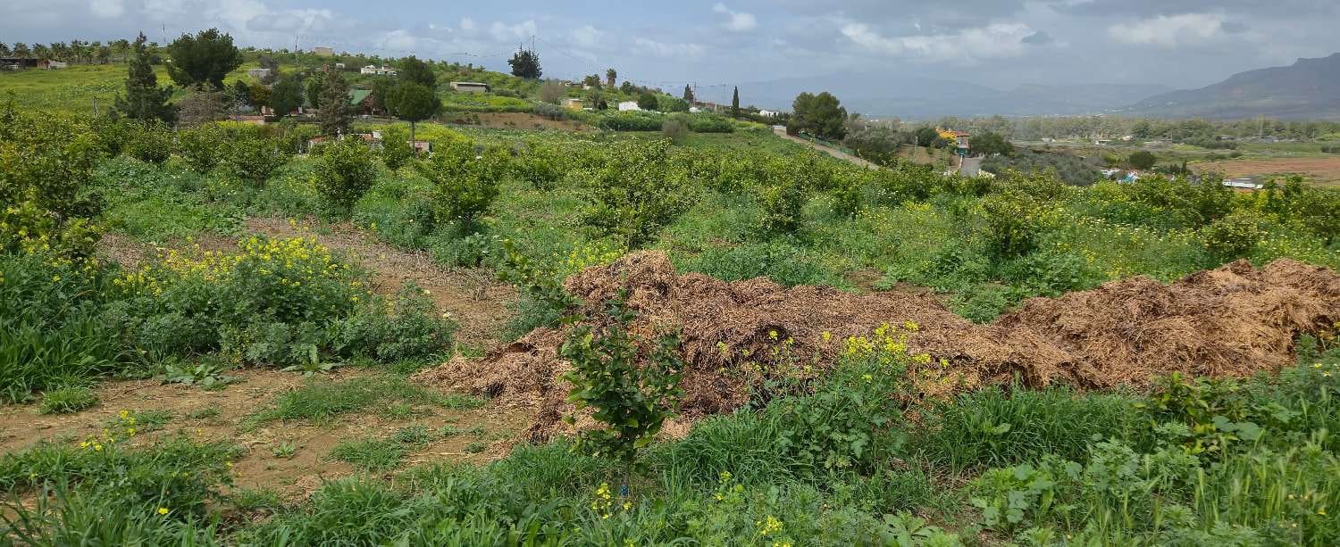 2 chambre Finca/Maison de Campagne à vendre à Villafranca del Guadalhorce avec piscine - 480 000 € (Ref: 8856860)