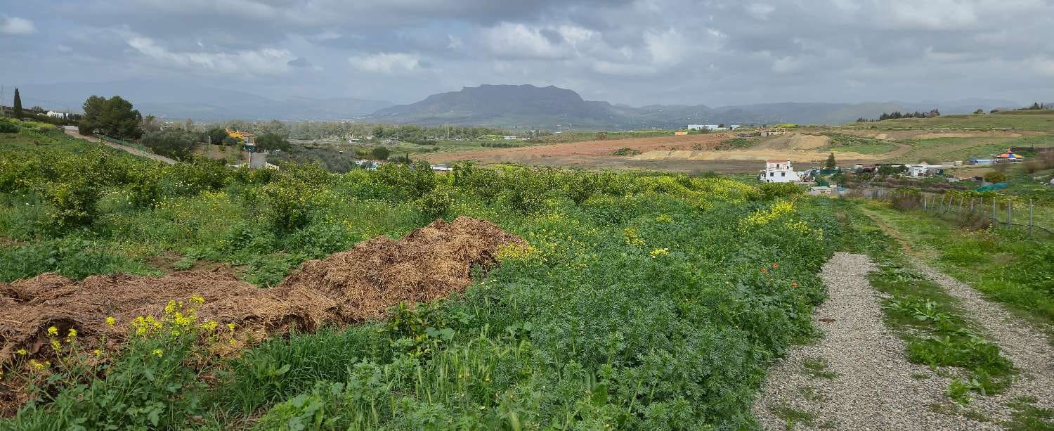 2 chambre Finca/Maison de Campagne à vendre à Villafranca del Guadalhorce avec piscine - 480 000 € (Ref: 8856860)