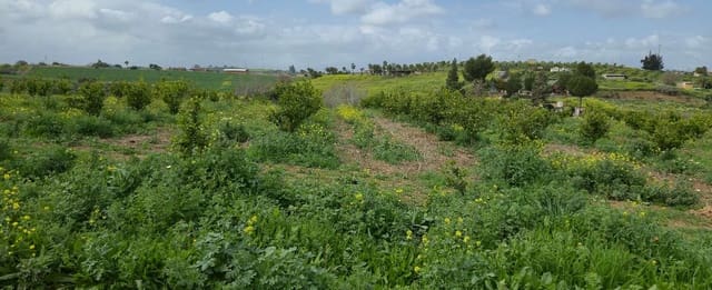 2 slaapkamer Finca/Landhuis te koop in Villafranca del Guadalhorce, Alhaurín el Grande met zwembad - € 480.000 (Ref: 8856860)