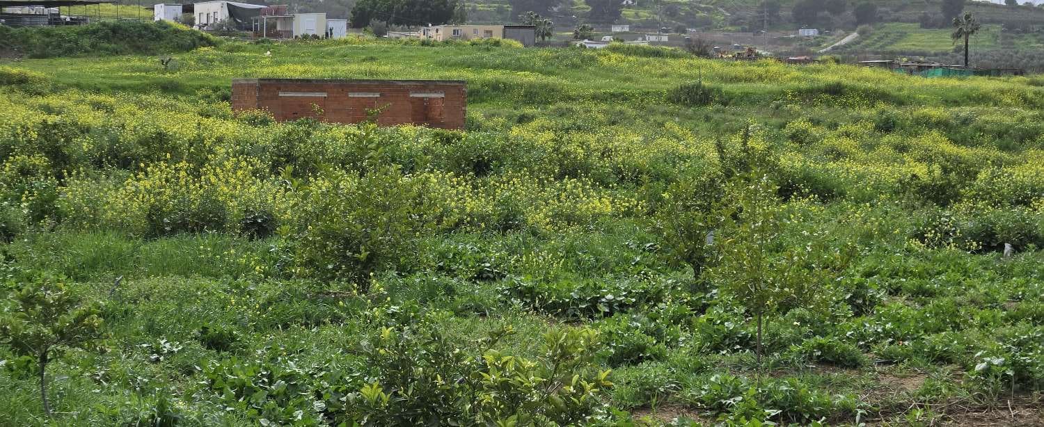 2 chambre Finca/Maison de Campagne à vendre à Villafranca del Guadalhorce avec piscine - 480 000 € (Ref: 8856860)