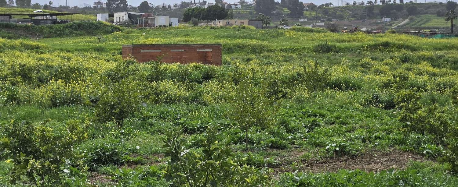 2 chambre Finca/Maison de Campagne à vendre à Villafranca del Guadalhorce avec piscine - 480 000 € (Ref: 8856860)