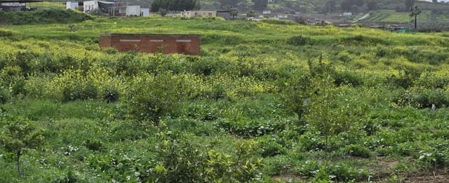 2 slaapkamer Finca/Landhuis te koop in Villafranca del Guadalhorce, Alhaurín el Grande met zwembad - € 480.000 (Ref: 8856860)