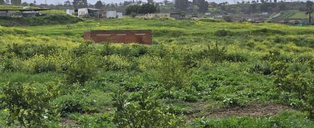 2 slaapkamer Finca/Landhuis te koop in Villafranca del Guadalhorce, Alhaurín el Grande met zwembad - € 480.000 (Ref: 8856860)