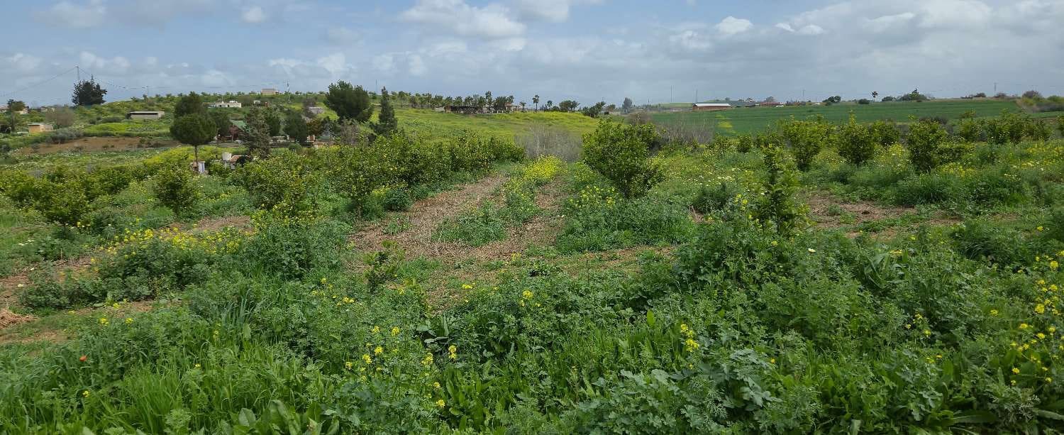 2 slaapkamer Finca/Landhuis te koop in Villafranca del Guadalhorce met zwembad - € 480.000 (Ref: 8856860)