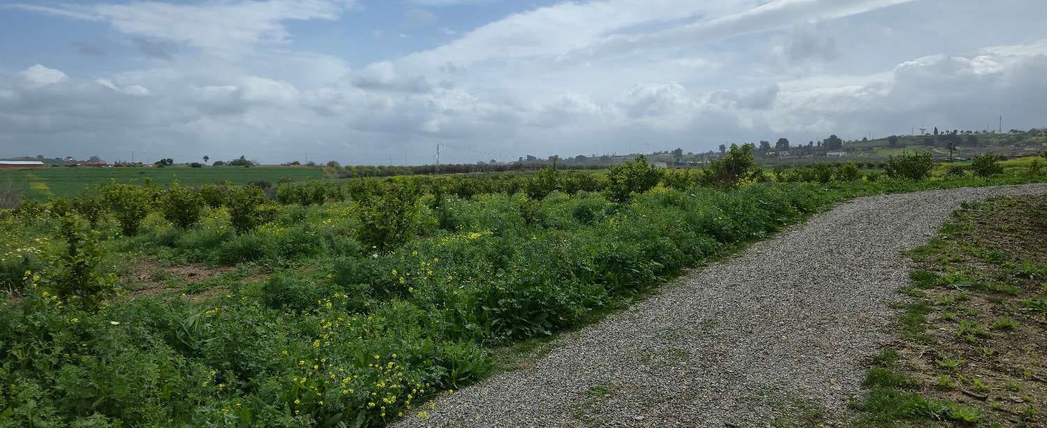 2 slaapkamer Finca/Landhuis te koop in Villafranca del Guadalhorce met zwembad - € 480.000 (Ref: 8856860)