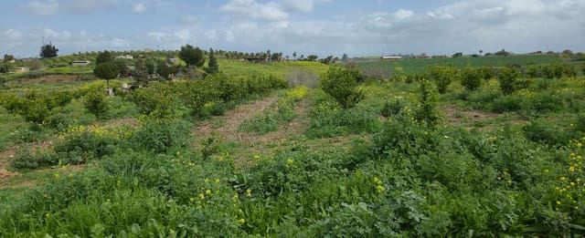 2 soverom Finca/Herregård til salgs i Villafranca del Guadalhorce, Alhaurín el Grande med svømmebasseng - € 480 000 (Ref: 8856860)