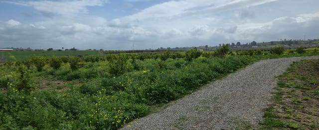 2 soverom Finca/Herregård til salgs i Villafranca del Guadalhorce, Alhaurín el Grande med svømmebasseng - € 480 000 (Ref: 8856860)